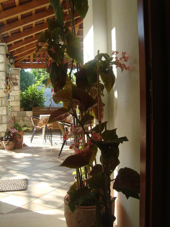 Apartments By The Sea Sladjenovici, Dubrovnik - 11531 سلانو المظهر الخارجي الصورة